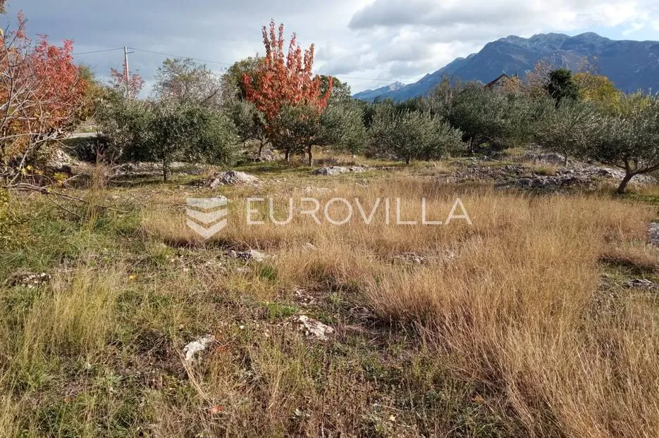 šestanovac, atraktivna parcela uz put, 4200 m², mogućnost obročne otplate - slika 5