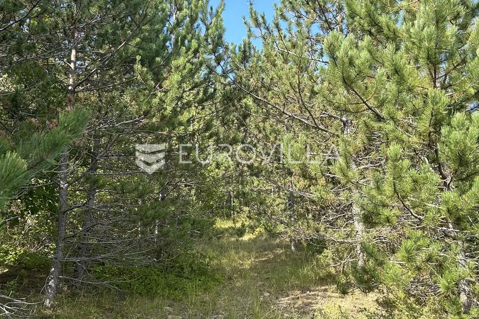 istra, cerovlje - poljoprivredno zemljište pogodno za maslinik ili vinograd - slika 3