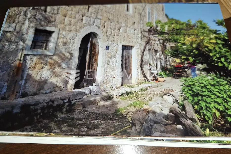 mljet, babino polje, sršenovići, stara kamena kuća u nizu - slika 4