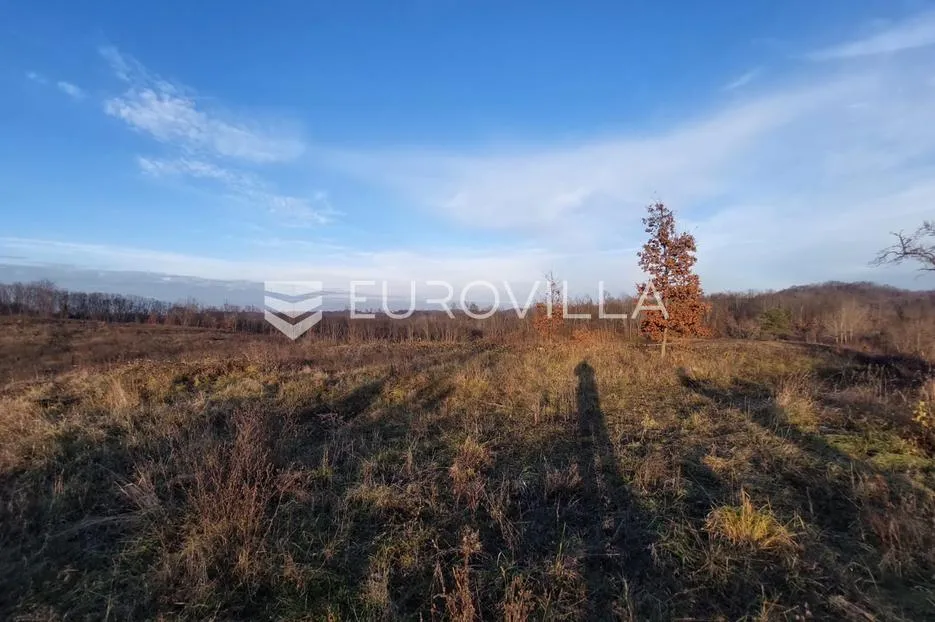 slunj, cvijanović brdo, zemljište 378428 m² s 2 objekta, višenamjensko - slika 10