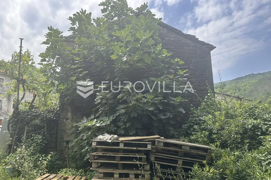 istra, zrenj, stara kamena kuća s građevinskim zemljištem 1190m2 - slika 3
