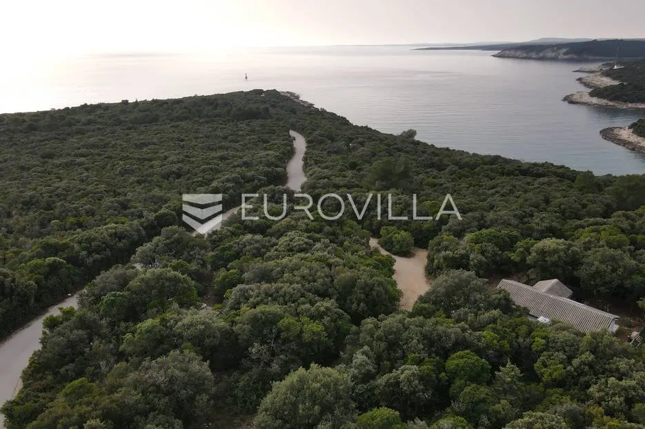 istra, kavran, poljoprivredna parcela 100 m od mora - slika 2