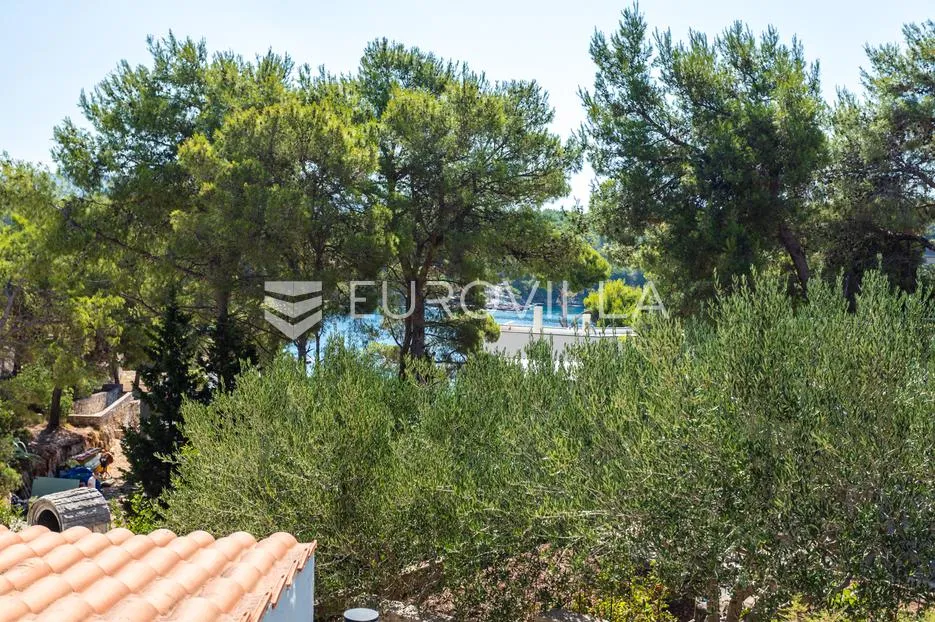 brač, milna, samostojeća kuća s četiri apartmana - slika 28