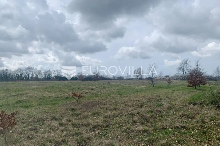 istra, svetivinčenat, građevinsko zemljište sa projektom - slika 3