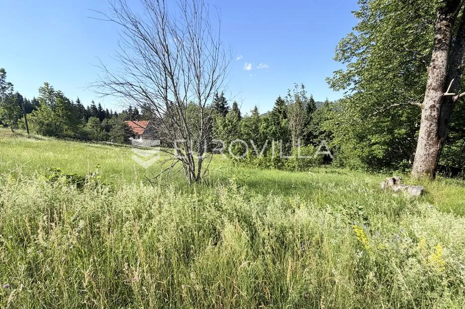 ravna gora, stara sušica, građevinsko zemljište 1959 m² s direktnim pristupom cesti - slika 7