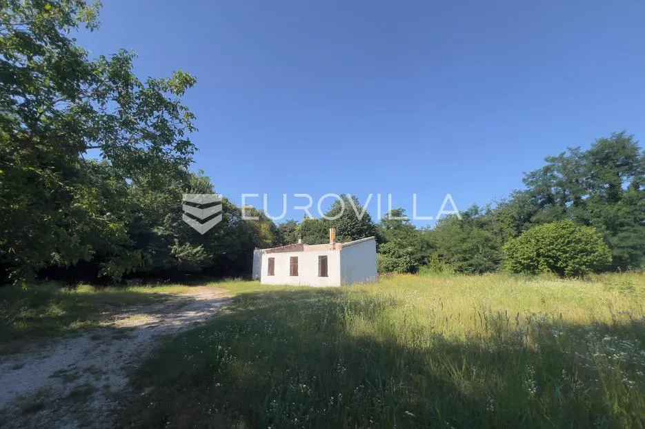 istra, poreč, ekskluzivno građevinsko zemljište 7.318 m², 600 m od mora - slika 4