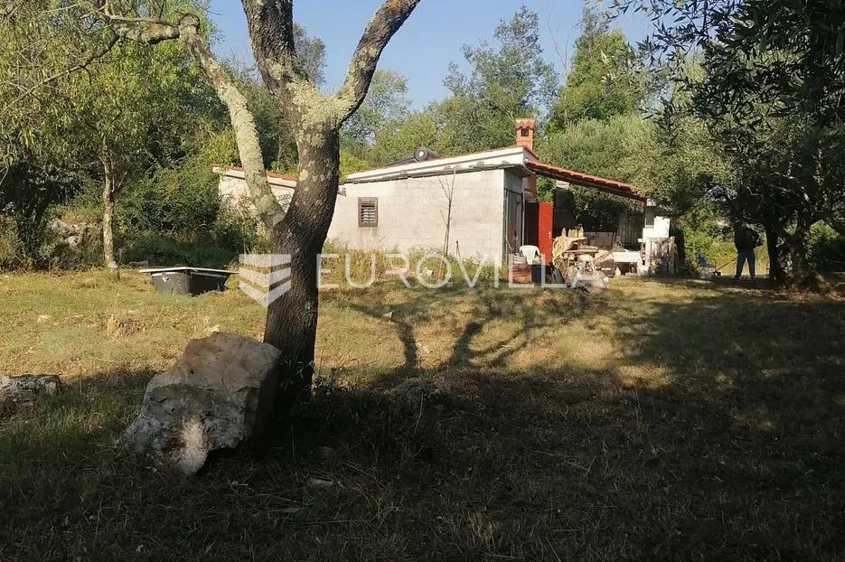 istra, rovinj, poljoprivredno zemljište sa ucrtanim objektom, prilika za agroturizam ili opg - slika 4