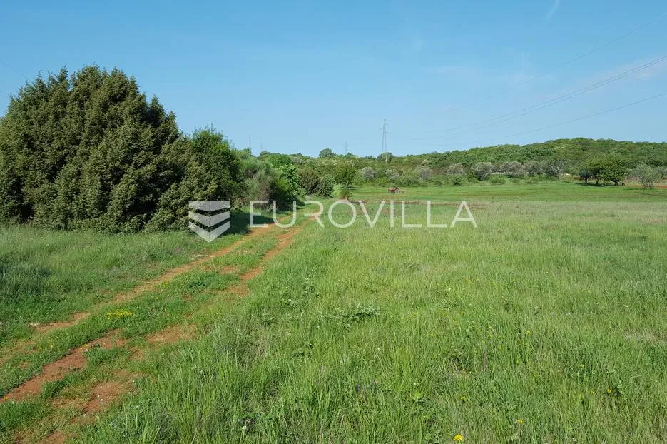 istra, rovinjsko selo, 6599m2 poljoprivredno zemljište s manjim gospodarskim objektom - slika 7