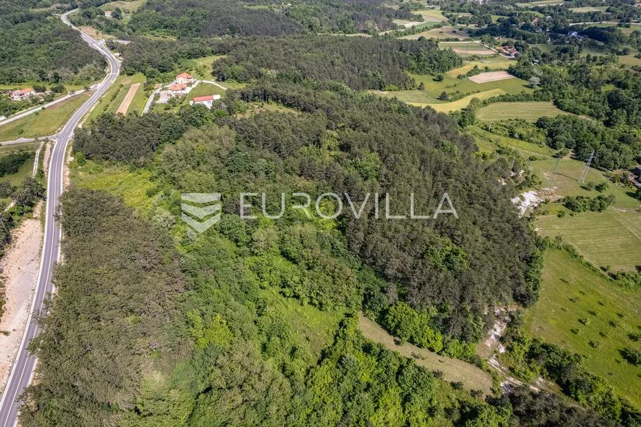istra, grašćišće, jedinstveno građevinsko zemljište 2000 m² okruženo stoljetnom šumom 36789 m² - slika 24