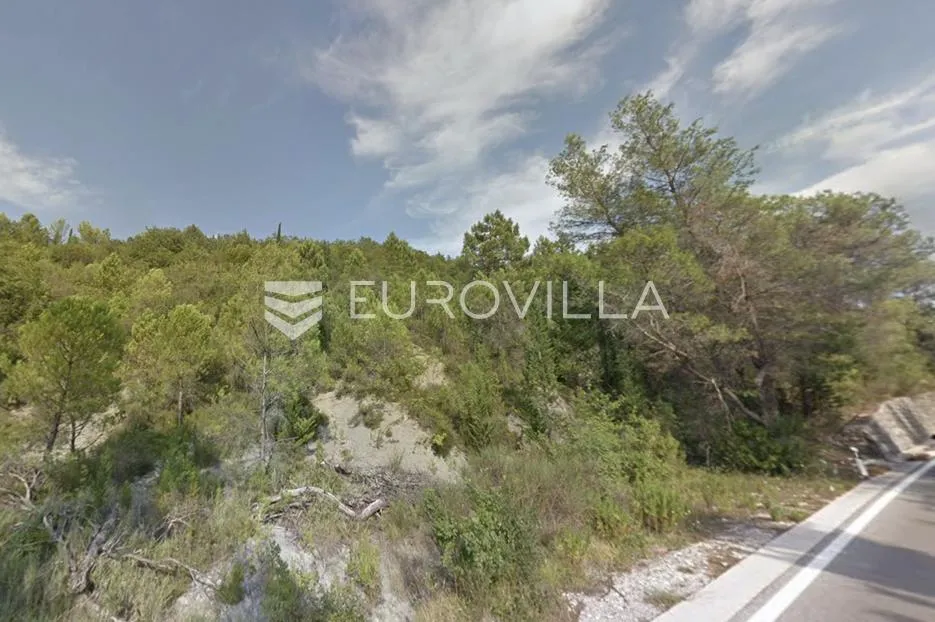 konavle, palje brdo, poljoprivredno zemljište uz jadransku magistralu, 50.000 m² - slika 2