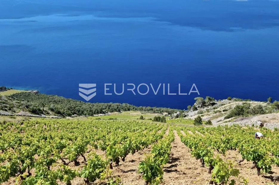 hvar, sv. nedjelja, građevinsko zemljište 30 m do mora - slika 5