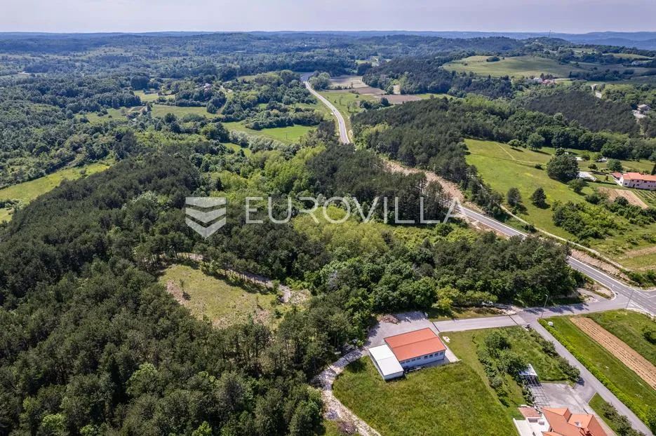 istra, grašćišće, jedinstveno građevinsko zemljište 2000 m² okruženo stoljetnom šumom 36789 m² - slika 2