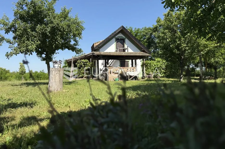 Osijek, Bilje, prodaje se uređena kuća u rustikalnom stilu na parceli od 25.000 m²