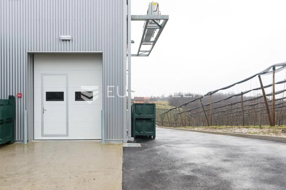 zelina, proizvodna hala od 540m2 s okućnicom od 1000m2 i voćnjakom - slika 4