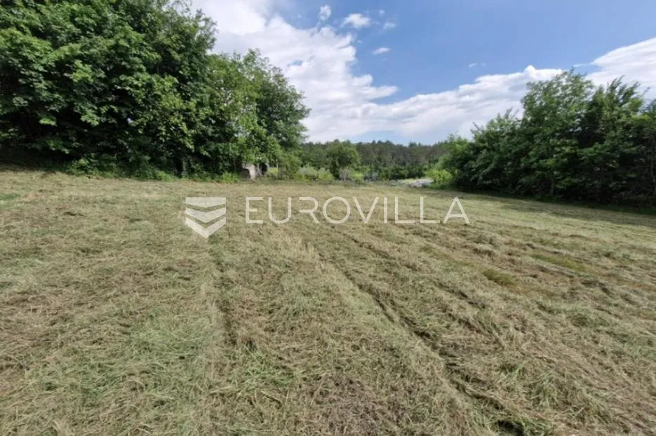 buzet, črnica, građevinsko i poljoprivredno zemljište 1393 m² - slika 4