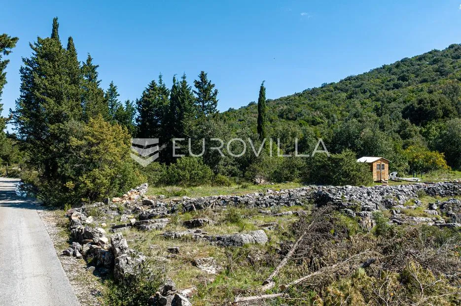 korčula, pupnat, poljoprivredno zemljište uz cestu površine 9.400 m² - slika 4