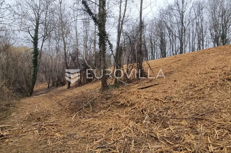 ozalj, grdun, poljoprivredno zemljište 8429 m² s 2 objekta - slika 14