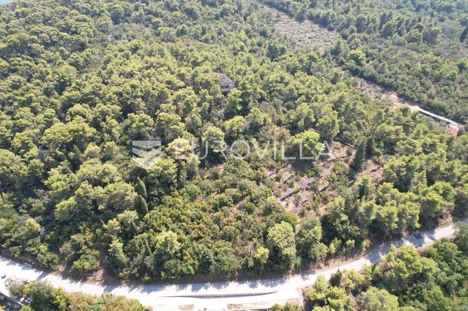 otok šipan, građevinsko zemljište 2.600 m² - slika 2