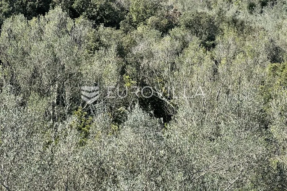 otok ugljan, kukljica, građevinsko zemljište s pogledom na more - slika 4