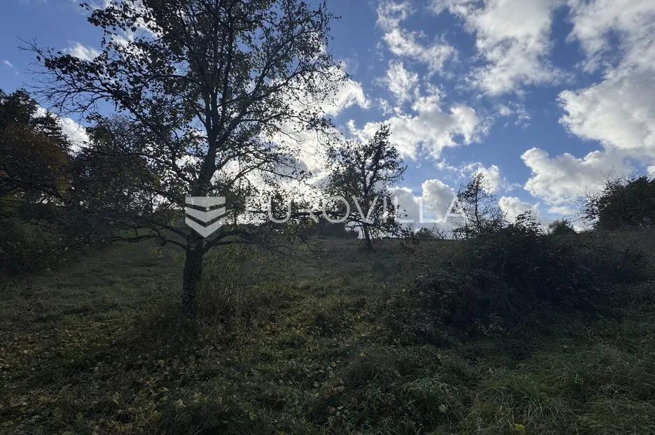 istra, heki, građevinsko zemljište 1999 m2 u centru istre - slika 6