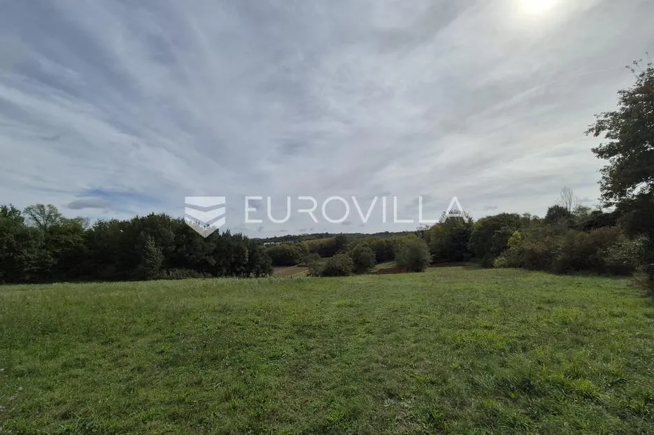 istra, rakotule, jedinstvena građevinska zemljišta 4.472 m² - slika 4