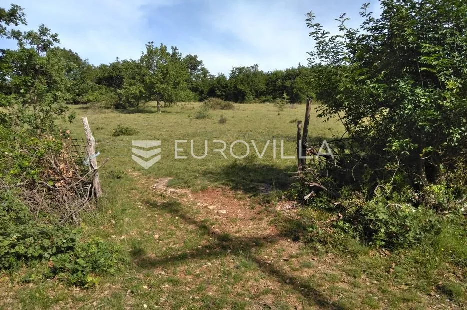 istra, poreč - poljoprivredno zemljište 62710 m2 - slika 2
