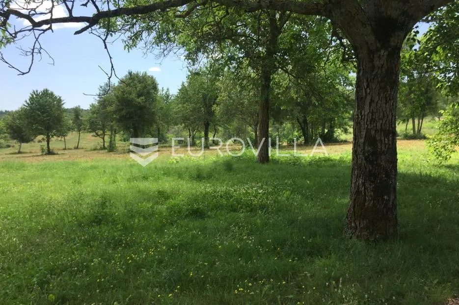 poreč, okolica - lijepo građevinsko zemljište nkp 832 m2 pravilnog oblika - slika 4