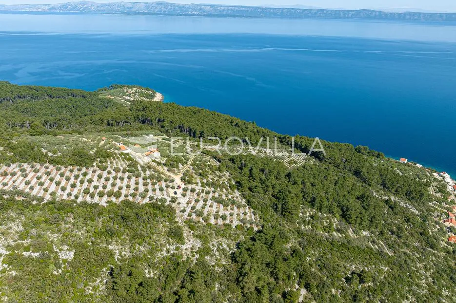 otok korčula, blato, poljoprivredno zemljište s dvije ruševne kamene kućice. - slika 5
