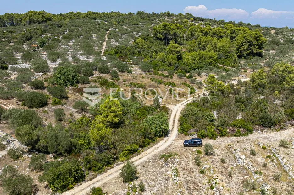 otok korčula, vela luka, poljoprivredno zemljište 980 m² - slika 2