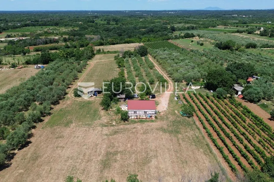 istra, vodnjan, gospodarska zgrada s pomoćnim objektom na prostranom zemljištu - slika 14
