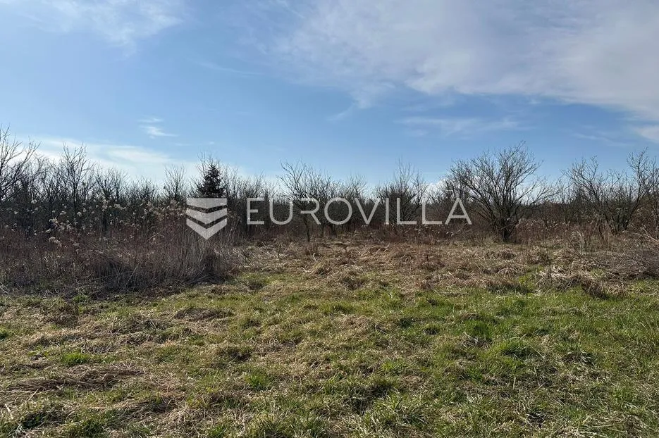 požega, stara lipa, prostrano poljoprivredno zemljište 44 058 m² - slika 2