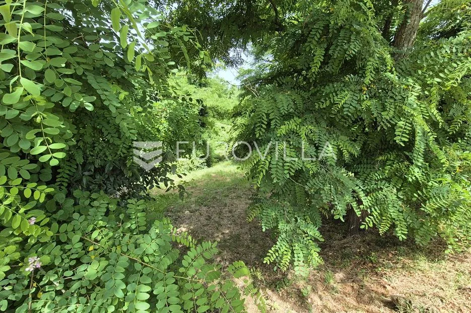 istra, tadini, građevinsko zemljište 1109m2 na rubu sela - slika 8
