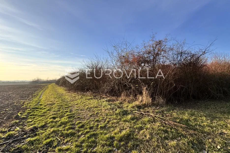 Piškorevci, voćnjak 17541 m²