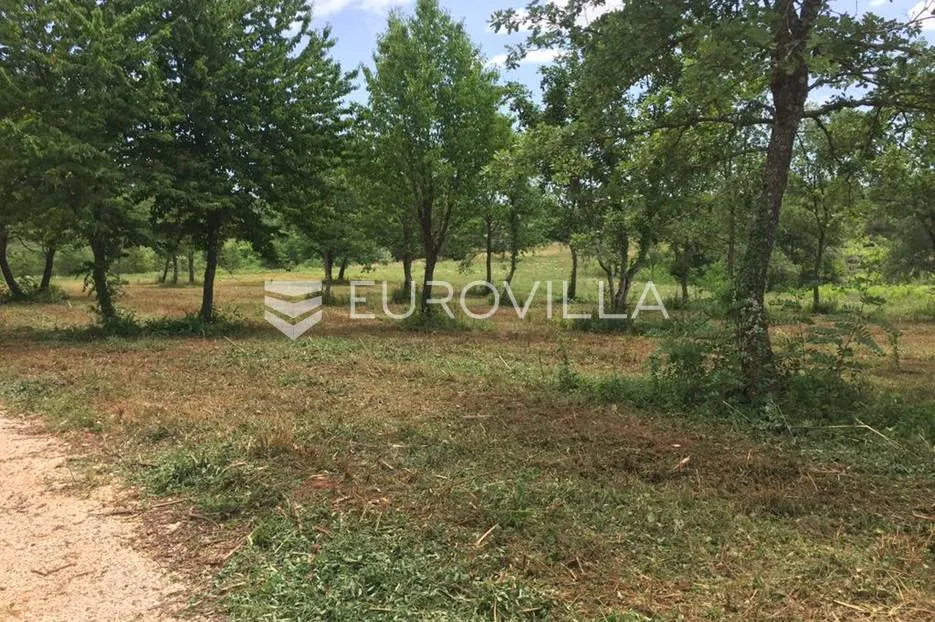 poreč, veliko građevinsko zemljište nkp 8289 m2, više građevinskih parcela pravilnog oblika - slika 6