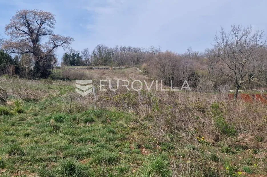 istra, karojba 3465m2 građevinskog zemljišta + 1200m2 poljoprivrednog - slika 6