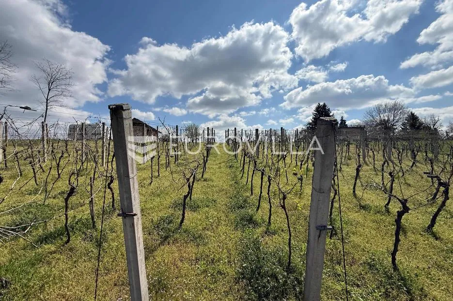 batina, zemljište s vinogradom i predivnim pogledom, 3274 m² - slika 3