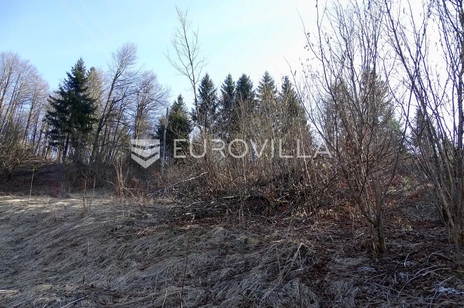 delnice, zemljište površine 7732 m² s 2200 m² građevinskog - slika 8