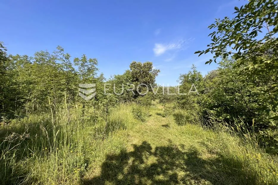 istra, šegotići, poljoprivredno zemljište, 3057m2 - slika 11