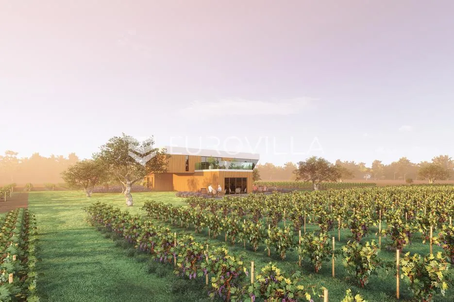 istra, predivno zemljište 26.700 m² pogodno za vinograd sa vinskim podrumom - slika 3