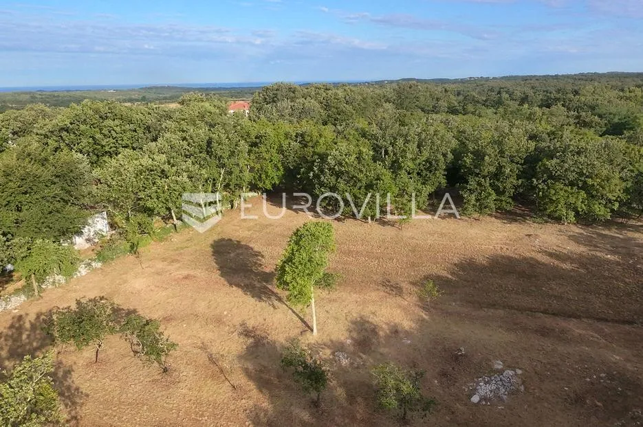 istra, tinjan, građevinsko zemljište nkp 3623 m2 - slika 15