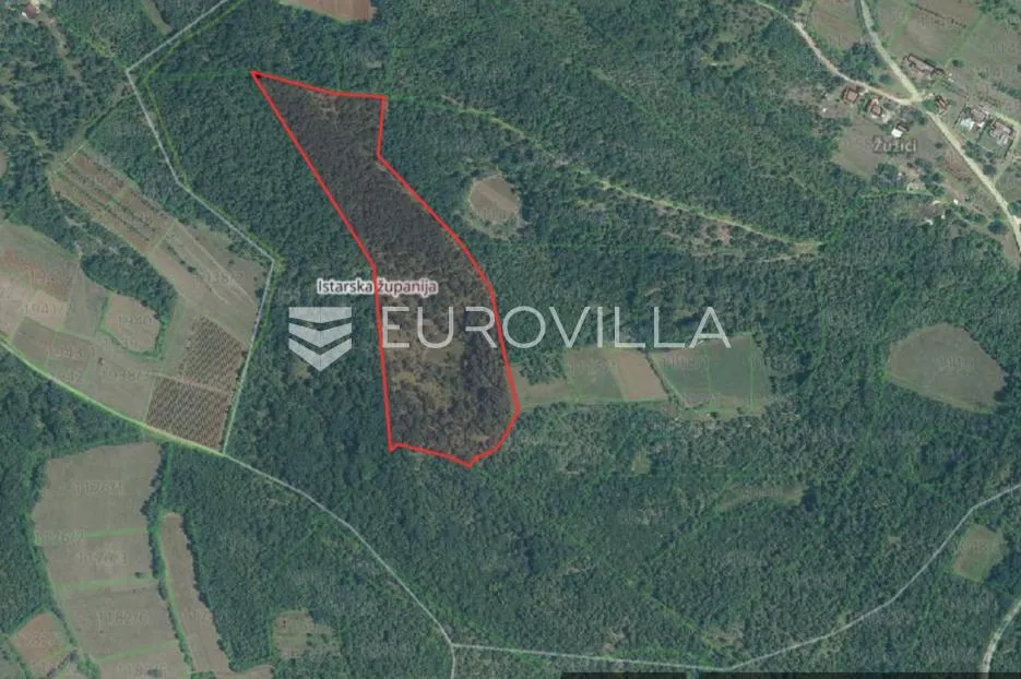 Istra, okolica Višnjana, poljoprivredno zemljište 44600 m² s puno potencijala - Legovići, Višnjan
