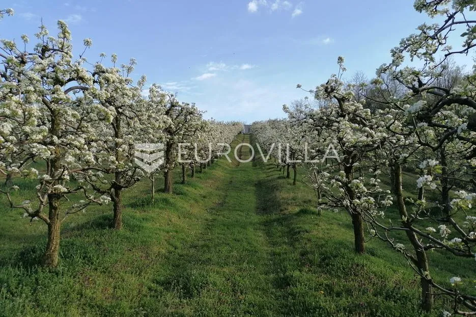 baranja, popovac, imanje s tri objekta, bazenom i 6ha zemlje proizvodnja - slika 33