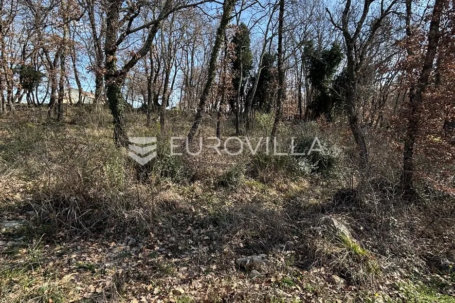 marčana, loborika, poljoprivredno zemljište na mirnoj lokaciji - slika 4