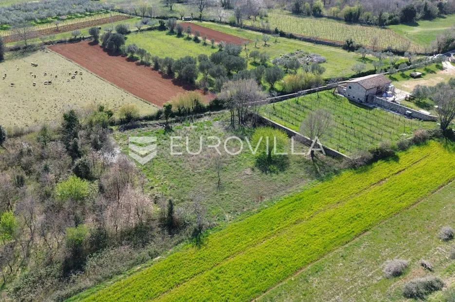 istra, rakalj, građevinsko zemljište na mirnoj lokaciji - slika 5