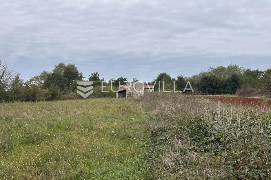 istra, savičenta okolica, jedinstvena kamena kuća 250m2 s bazenom na osami okružena zelenilom - slika 5
