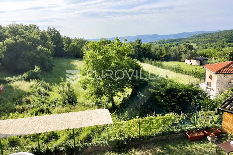 istra, motovun, prekrasna kuća sa dva stana i konobom - slika 26