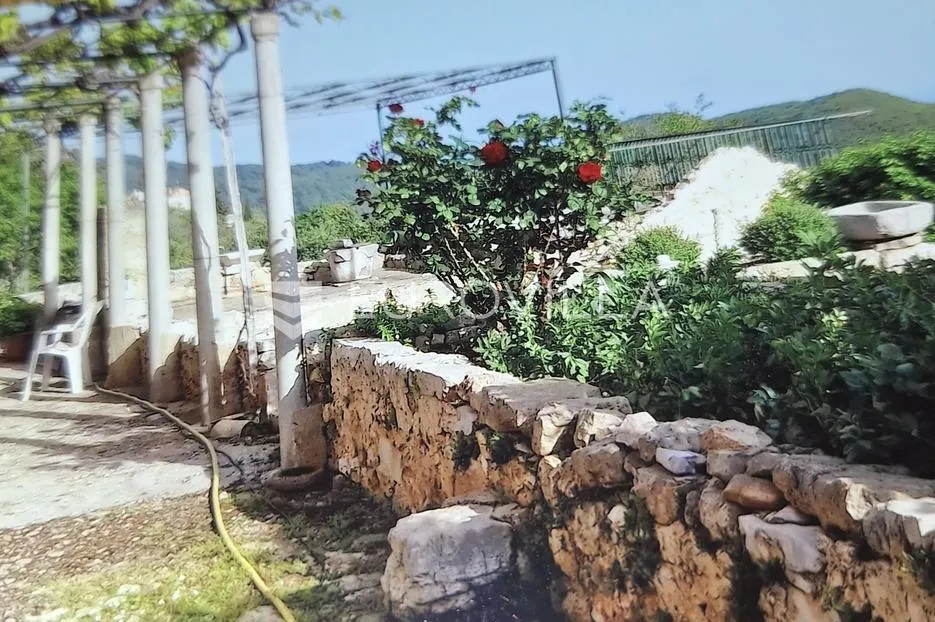 mljet, babino polje, sršenovići, stara kamena kuća u nizu - slika 3
