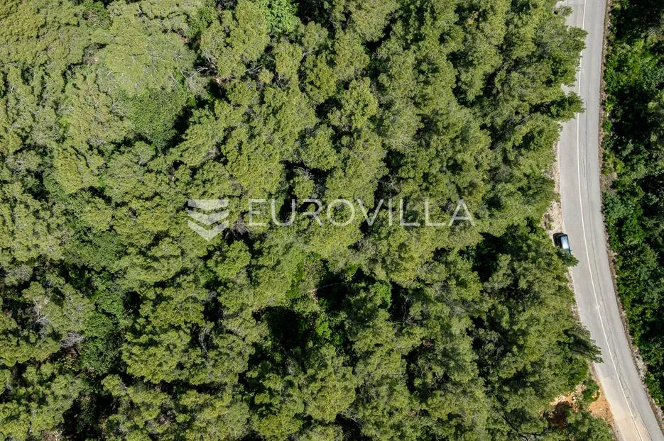 otok korčula, blato, poljoprivredno zemljište u blizini prigradice - slika 4