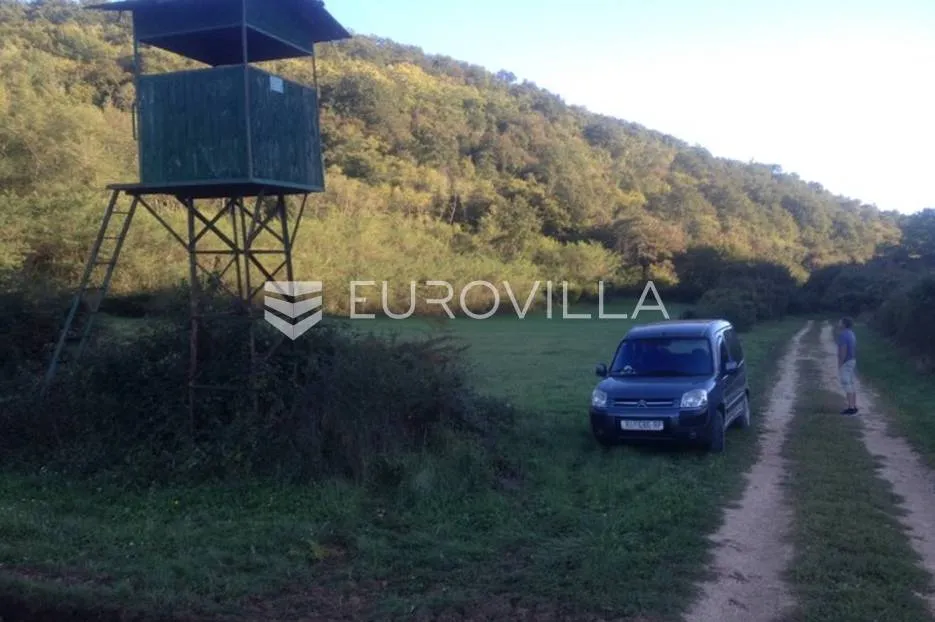 istra, kanfanar, uređeno poljoprivredno zemljište 13.270 m2 - slika 5