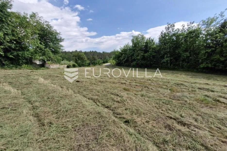 buzet, črnica, građevinsko i poljoprivredno zemljište 1393 m² - slika 3
